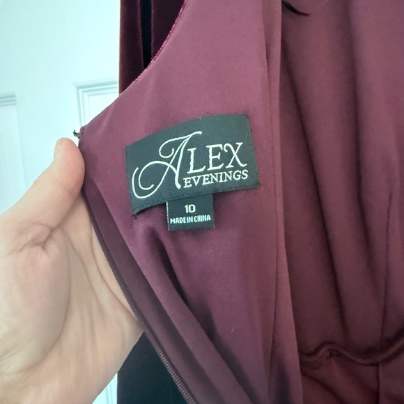 Elegant Burgundy Velvet Dress - Picture 6 of 6